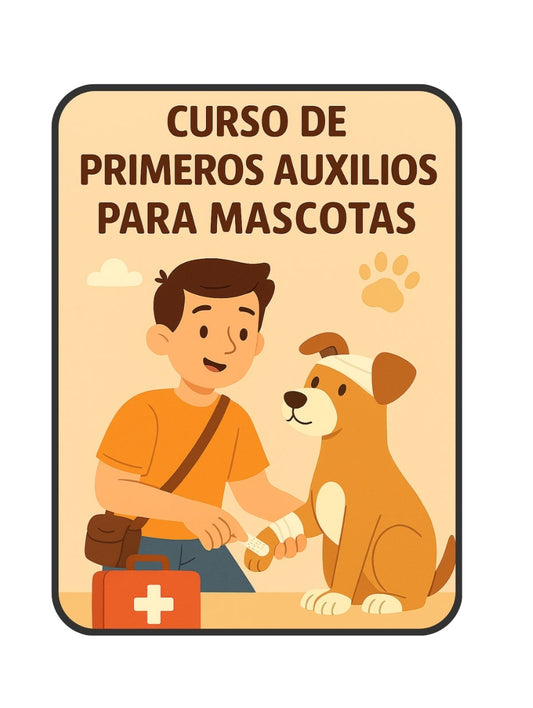Curso Primeros Auxilios Para Mascotas